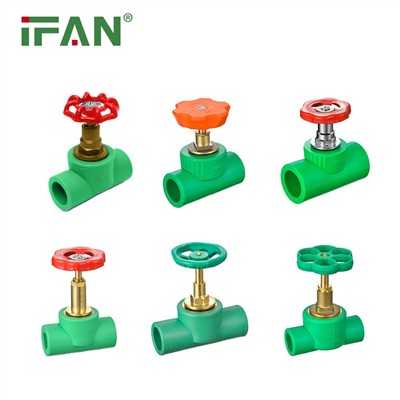 What is the purpose of PPR check valve?