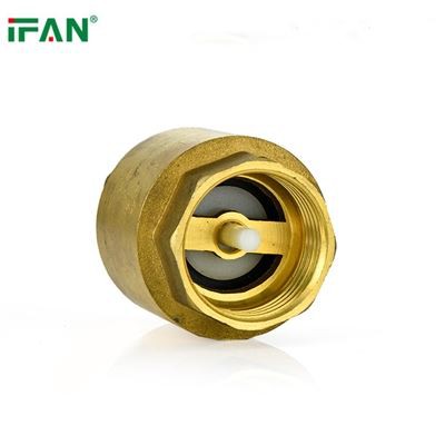 The Importance of Brass Check Valves in Plumbing Systems
