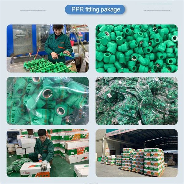 IFAN Ppr Pipe And Ppr Fittings