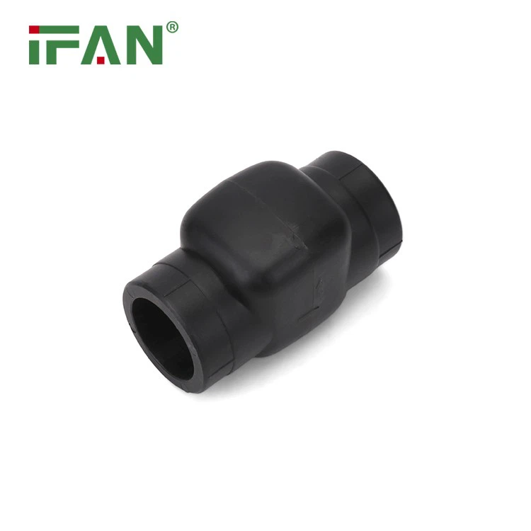 He Powerful PPR Fitting Check Valve