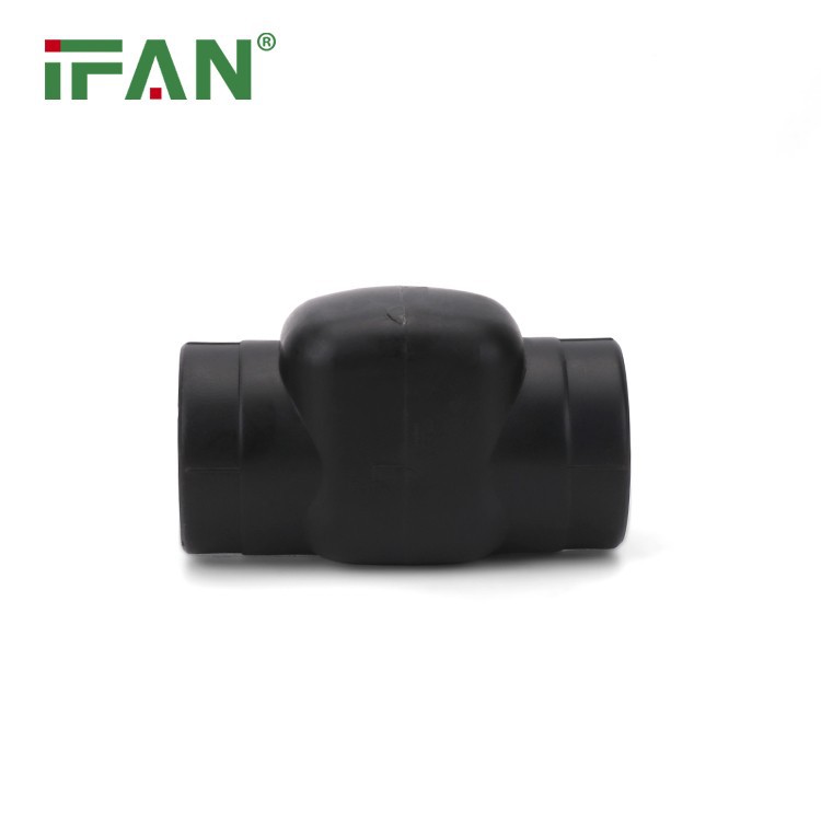 He Powerful PPR Fitting Check Valve